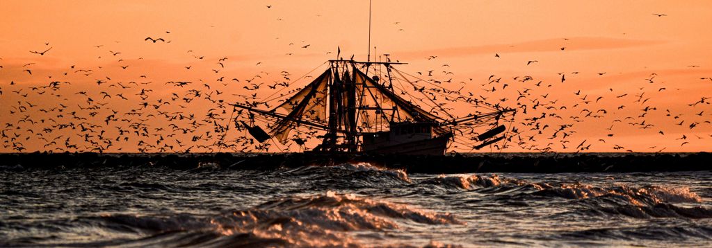 Promo ratecard no fees