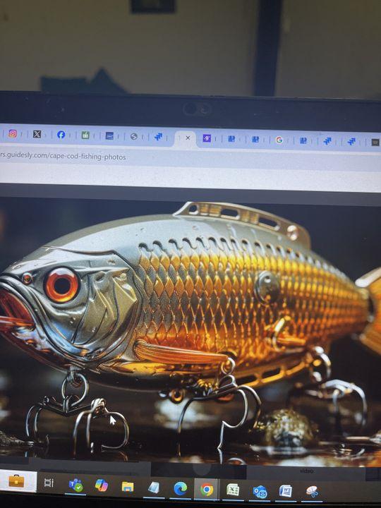 Electrifying Adventure in Block C, AECS Layout - A Fishing Expedition to Remember test fishing report coverpicture